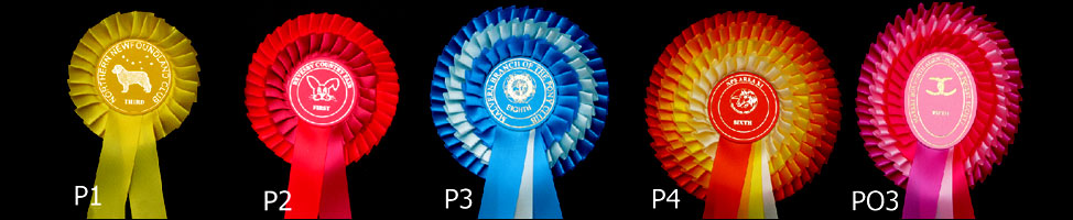 Club Rosettes - Prestige Top Image