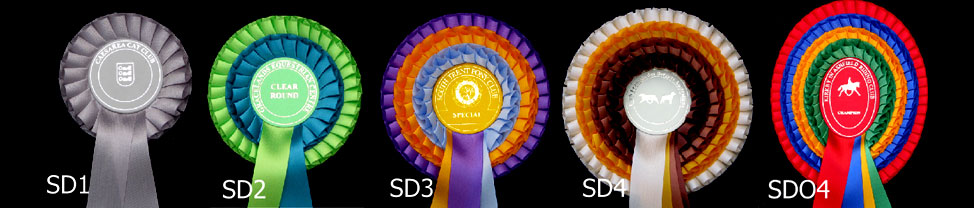 Club Rosettes - Super De Luxe Top Image