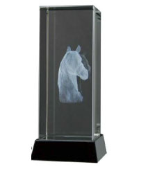 GO32-17 GLASS HORSE AWARD FROM SHOWSTOPPERS LTD