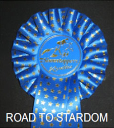 Road to stardom