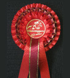 Edged Ribbon Rosette From Showstoppers Rosettes