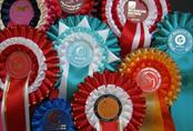 Club Rosettes