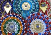 Championship Rosettes