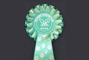 Designer Ribbons