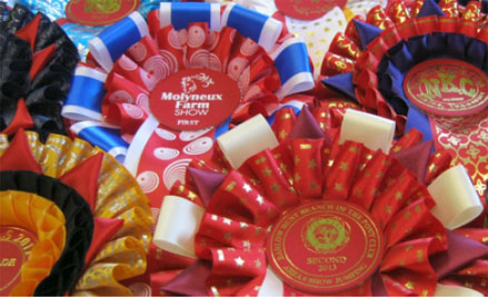 Designer Ribbon Rosettes